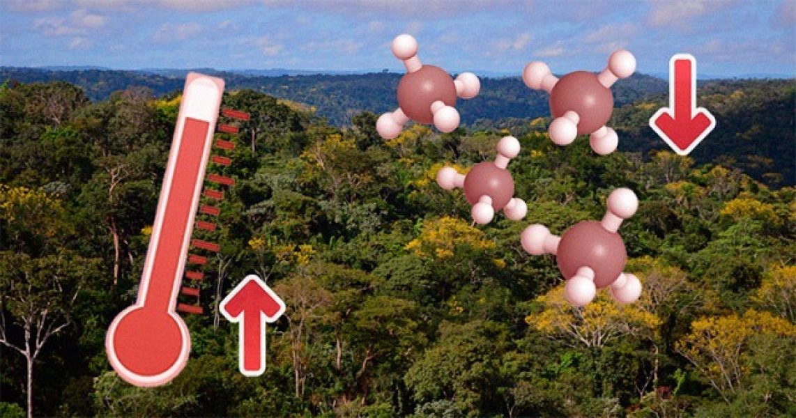 20240807_temperatura-metano Média