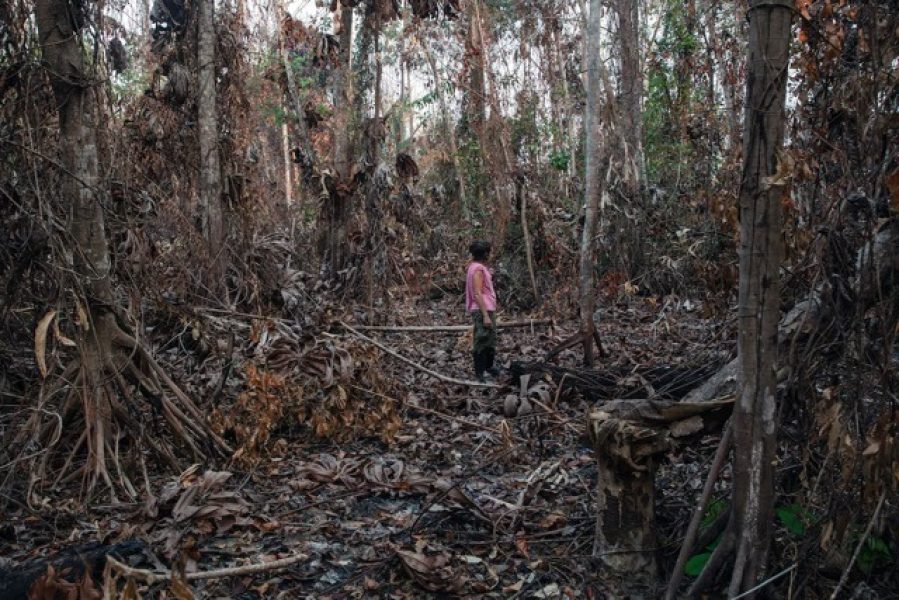 2QHSKZCD2FCY5GIRNEMICNFGY4 Média