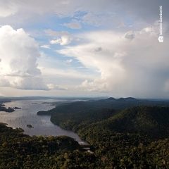 2a51e60a-418b-4dc6-9d29-21a3e6a9ab6e