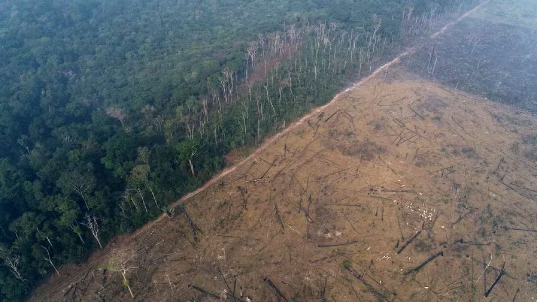 3.glbimg.com-v1-auth-0ae9f161c1ff459593599b7ffa1a1292-images-escenic-2020-8-12-12-1613151234323