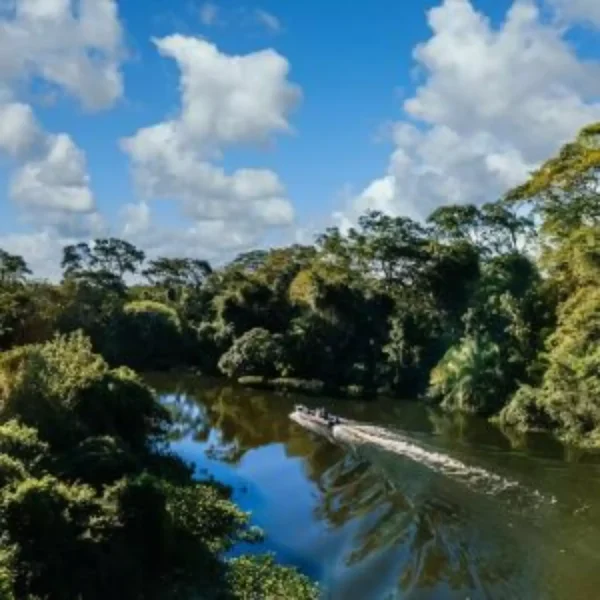 415556682-barco-motor-no-lago-cercado-por-belas-arvores-verdes