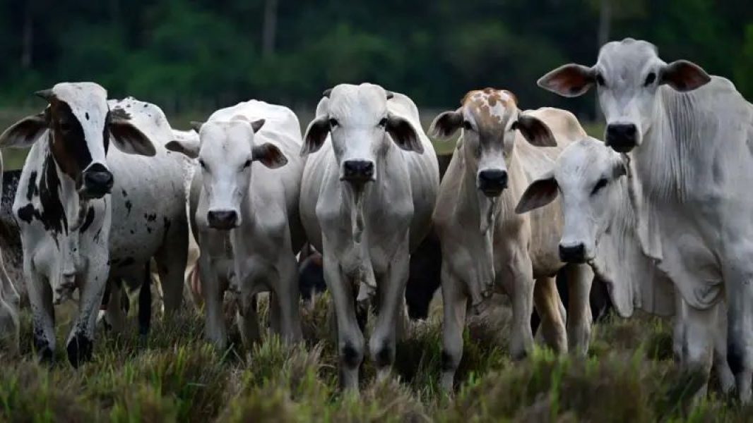 6441fd50-d4ff-11ef-bd01-a14953f7c4c1