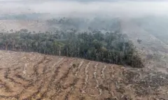 6b2f84af-gp0sty7tv_medium_res-1024x683 (1)