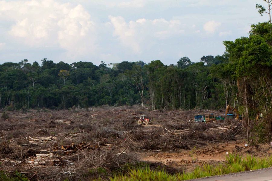 8233212436_b266247ad0_k