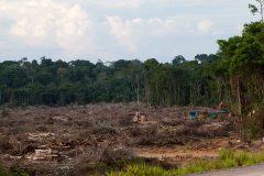 8233212436_b266247ad0_k