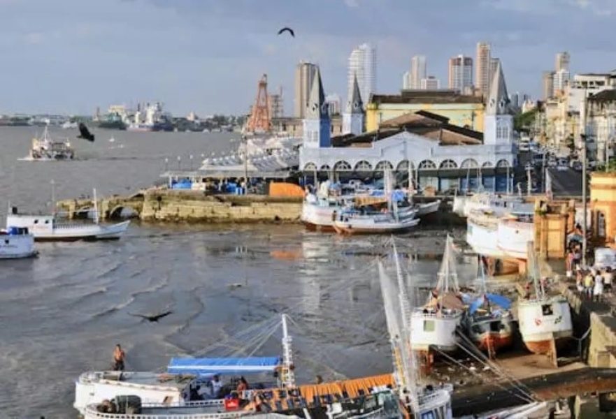 899657859-file-20241101-15-ys9sok