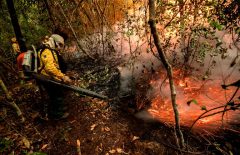 8db1b22e-76c9-4899-a5de-b64aaa1b54e2