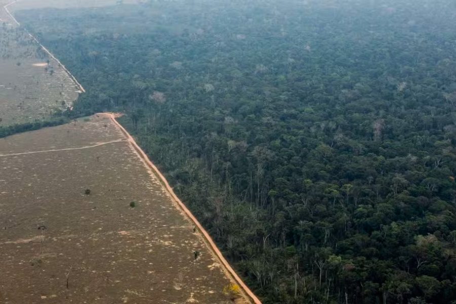 95328631-porto-velho-ro-17-09-2021-desmatamento-e-queimadas-na-floresta-amazonica.-foto-edilso