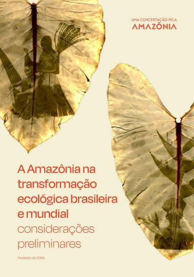 A-Amazonia-na-transformacao-ecologica-brasileira-e-mundial