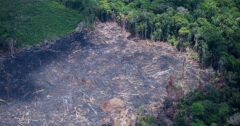 A estacao seca na Amazonia ocorre entre julho e novembro mas pode variar de regiao