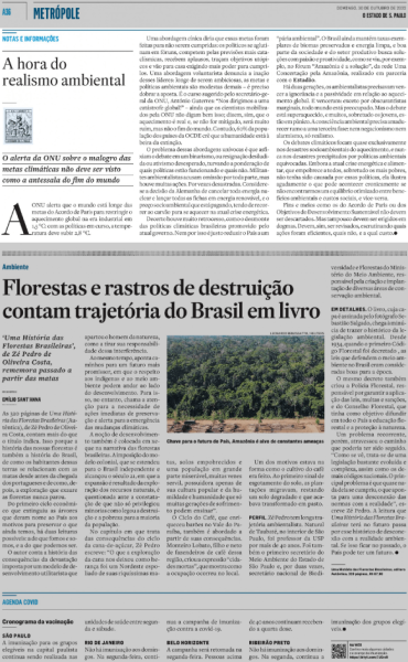 A-hora-do-realismo-ambiental