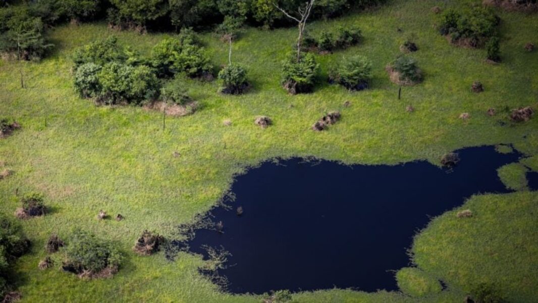 Amazonia-Floresta-MeioAmbiente-Agua-Madeira-Desmatamento-Preservacao-40-848x477
