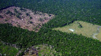 Amazonia-desmatamento