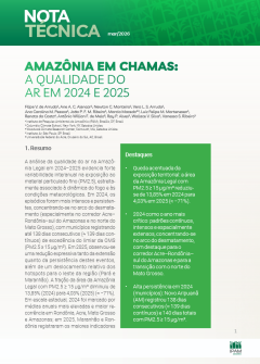 Amazonia-em-chamas