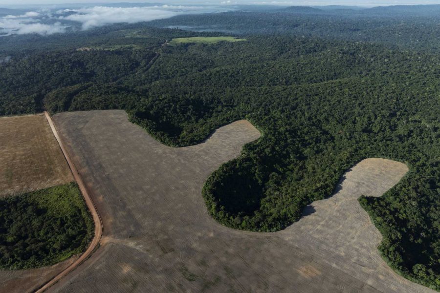 Área desmatada para o plantio de soja às margens da rodovia Transamazônica
