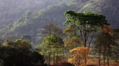 Áreas mais importantes para a biodiversidade da Amazônia