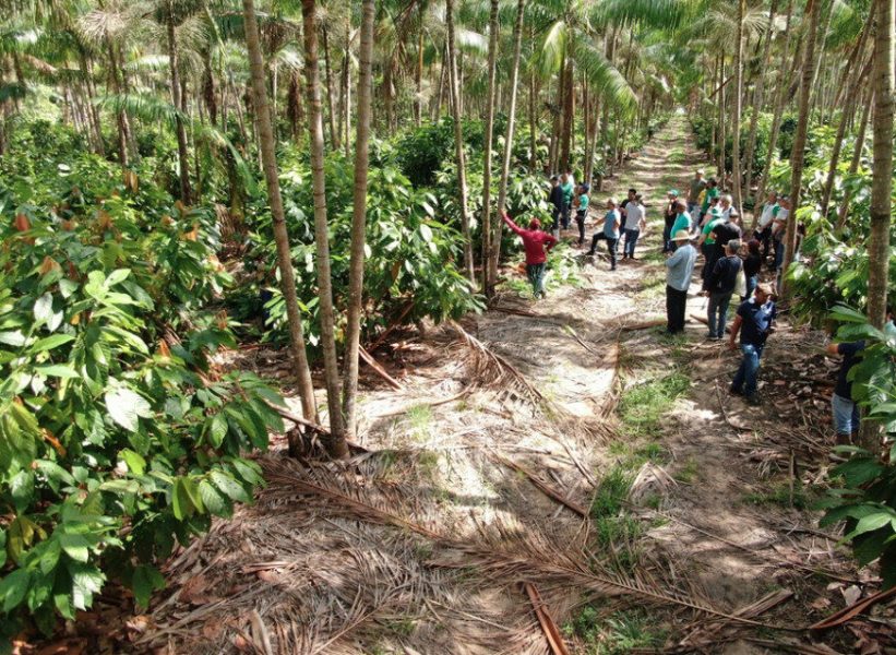 Atlas da Bioeconomia Inclusiva revela panorama de dados das diversas regiões da Amazônia