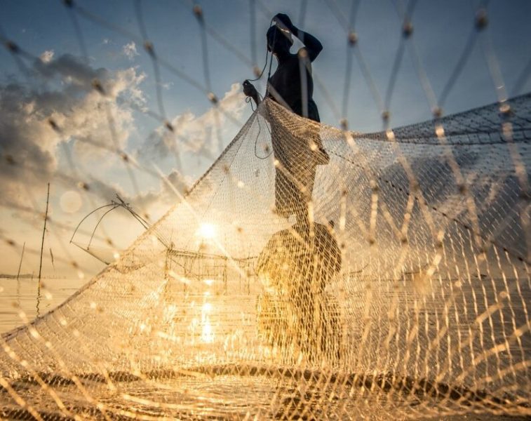 BNDES lança iniciativa para formar estudantes de ensino médio em bioeconomia na Amazônia