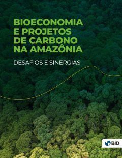 Bioeconomia e projetos de carbono na Amazônia desafios e sinergias