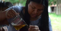 Bioeconomia indígena impulsiona a sustentabilidade na Amazônia