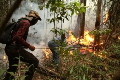 CAPA-Brigada-indigena-voluntaria-combate-incendios-sem-apoio-de-autoridades-no-Para Média