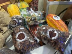 Cacau amazônico ganha espaço no pavilhão do Sebrae