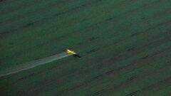 Capa_Aumento-de-morte-de-criancas-por-leucemia-e-associada-a-expansao-da-soja-no-Brasil-1