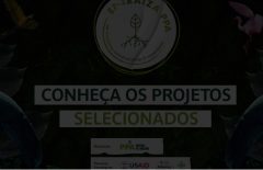 Captura-de-tela-2023-04-12-165357