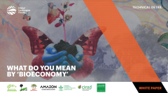 Captura-de-tela-de-2022-09-15-21-42-53