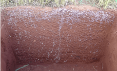 Captura de tela de 2022-09-21 14-21-11