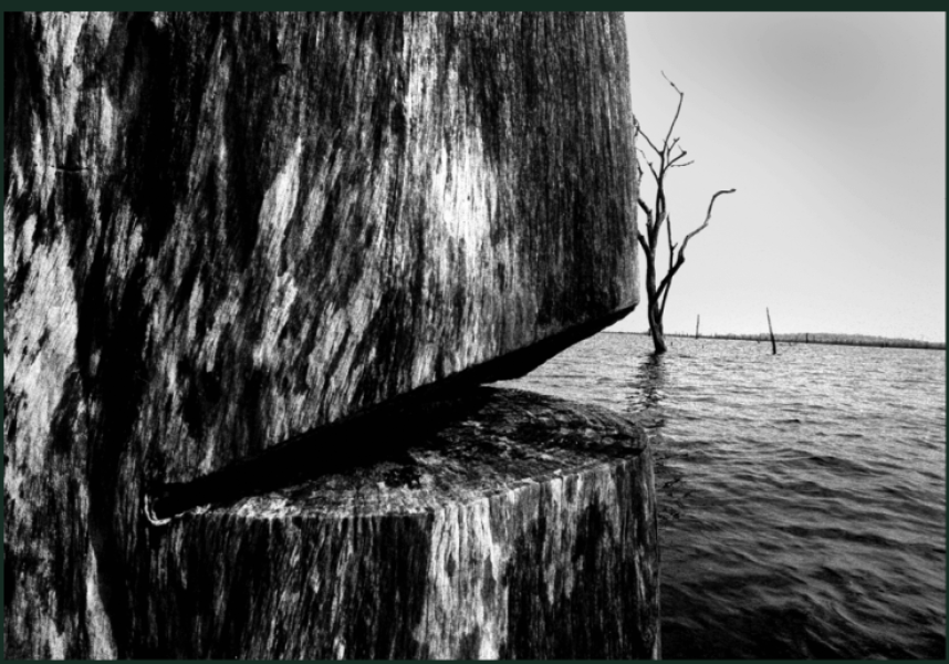 Captura de tela de 2022-09-28 18-25-46