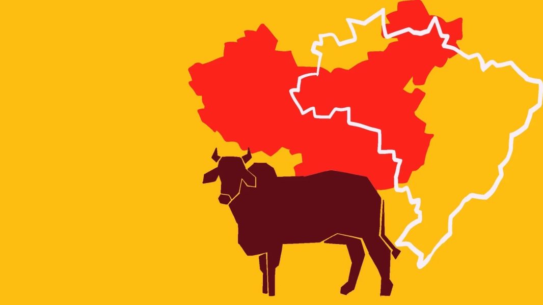 China-e-pecuaria-_-CAPA-_-01