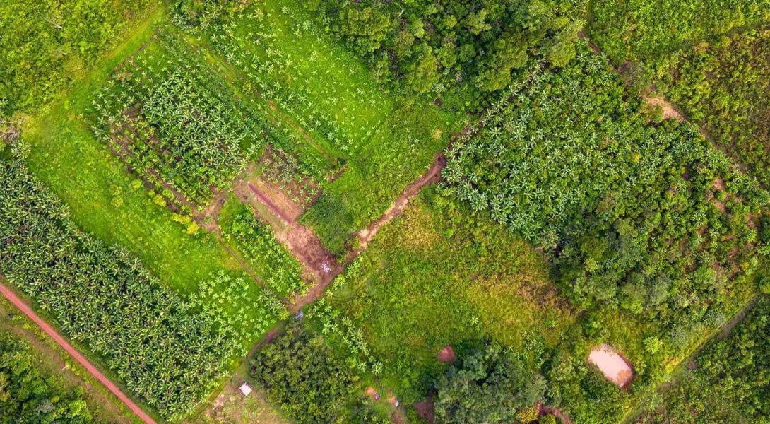 Como destravar o potencial de restauracao