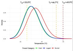 Cooley-Figure-Rainforest-