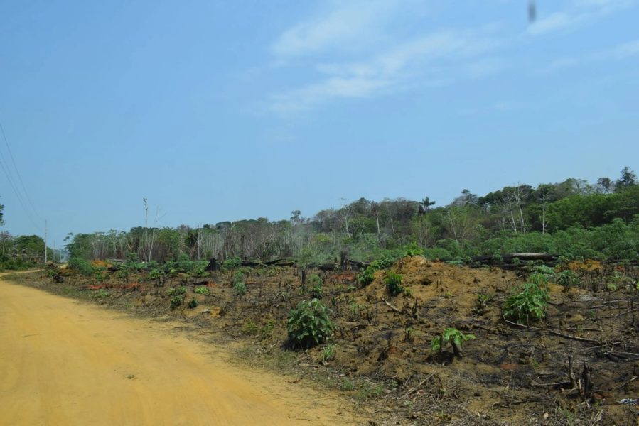 DSC_0842-scaled-Grande