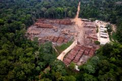 Deputados da Amazônia Evitam Pautas Ambientais