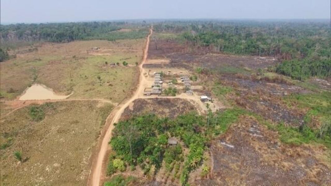 Desmatamento ilegal vira atividade lucrativa e organizada em Labrea