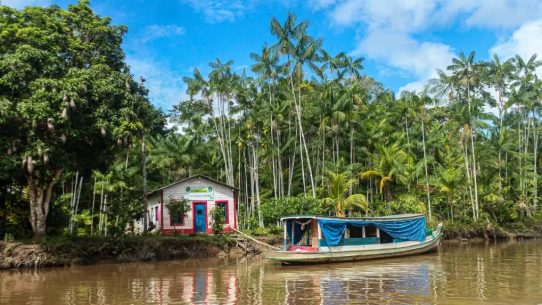 Diariamente a vegetacao amazonica libera cerca de 20 bilhoes de toneladas de vapor dagua