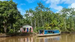 Diariamente a vegetacao amazonica libera cerca de 20 bilhoes de toneladas de vapor dagua