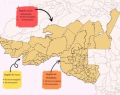 Dinâmicas territoriais e conflitos socioterritoriais na Amazônia