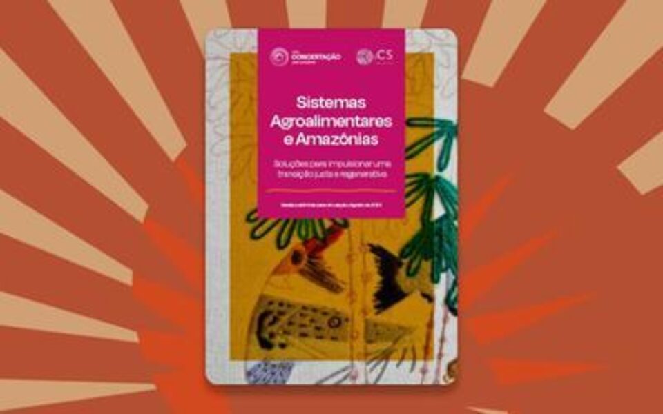 Documento traz propostas para desativar práticas nocivas e fortalecer cadeias sustentáveis