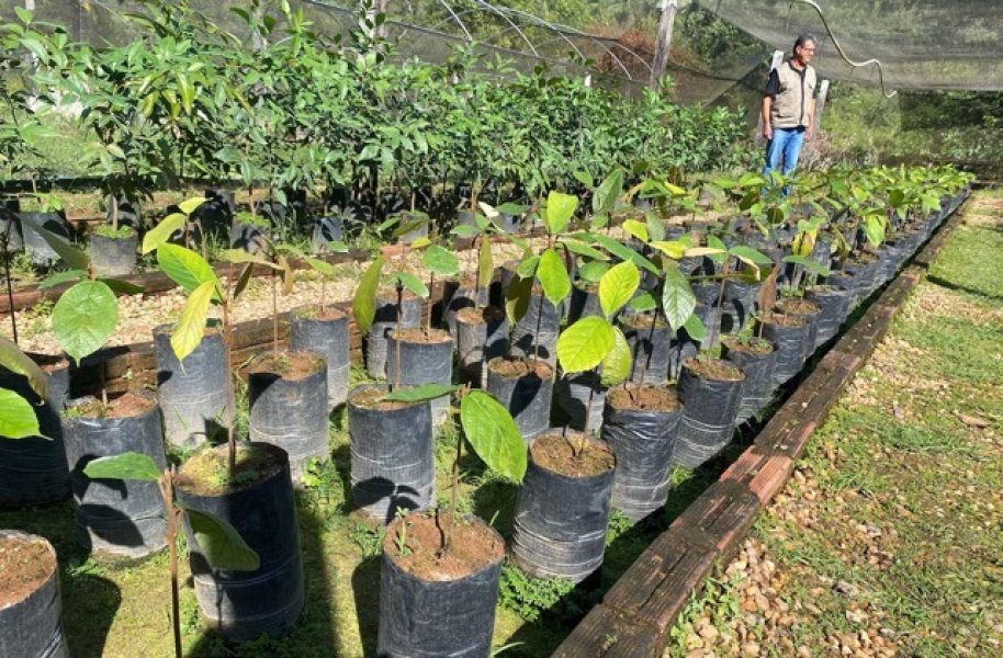 ENJMK5PL4ZFGPLHLR35T2S7ZBY-Media