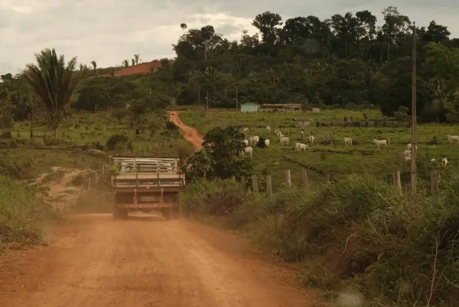 Estrada de terra na Resex Jaci Paraná