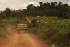 Estrada de terra na Resex Jaci Paraná