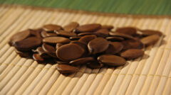 Estudo aponta onde e com quais espécies reflorestar