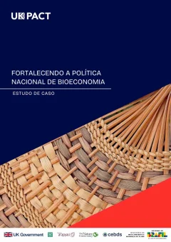 Estudo-de-Caso-Bioeconomia-scaled