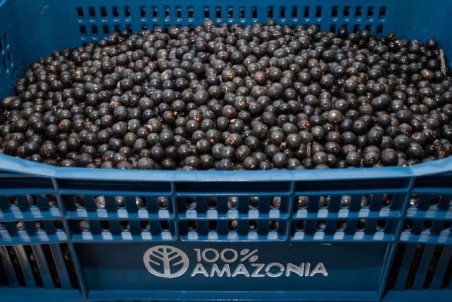 FGYQWAAGRBHTJBKNFAHPDZZG5Q Média