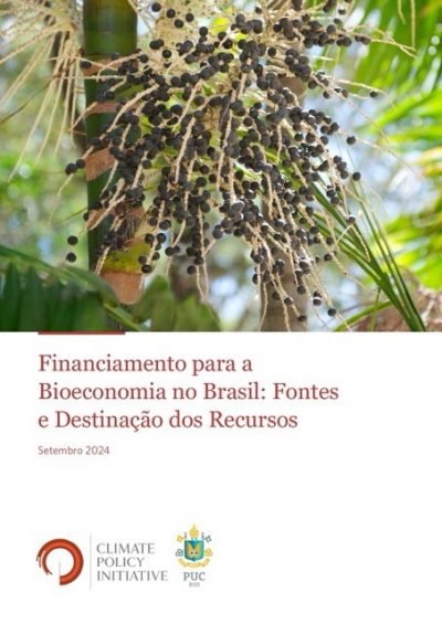 Financiamento-para-a-Bioeconomia-no-Brasil-Fontes-e-Destinacao-dos-Recursos_page-0001 Média