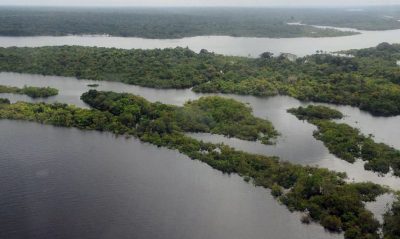 Floresta-Amazonica-FVGcbV