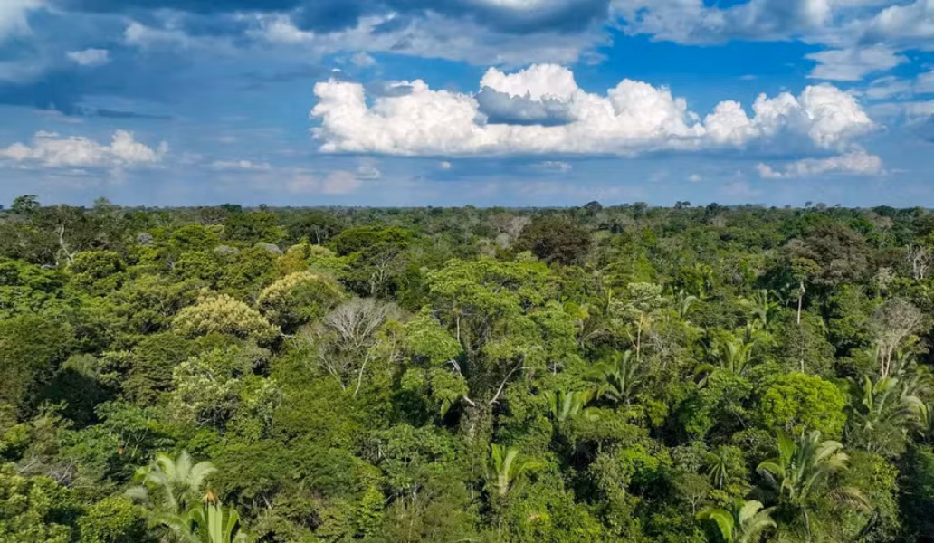 Floresta Amazônica